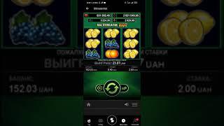 Игра чемпион казино. Championcasino logo png. Chcplay net. Net. Chcplay net.