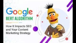 All About the BERT Algorithm in Google SEO