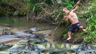 Dwarf Family Traps Primitive and Cooks Fresh River Fish for Joy.