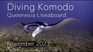Scuba Diving Komodo on the Queenesia Liveaboard