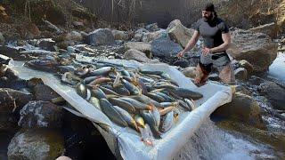 Dünya'nın En Basit Balık Tutma Tekniği / THE WORLD'S SIMPLE FISHING TECHNIQUE