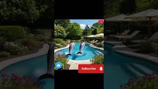 Dolphin dancing in swimming pool |ai creation| #cute #funny #shorts