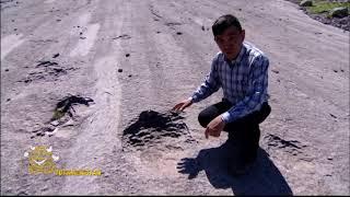 Turkmenistan Dinozawrlaryň tekizligi -Lebap, Köýtendag