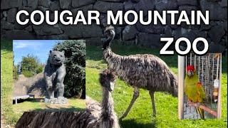 Cougar Mountain Zoo | # Issaquah #Redmond