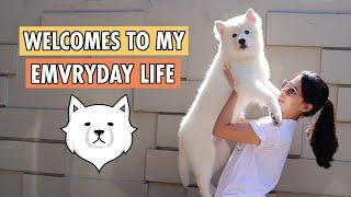 A DAY IN A LIFE OF MY PUPPY MOCHI (DAILY ROUTINE)