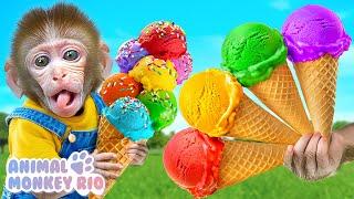 Monkey Rio explores colorful ice cream truck at the pool with duckling | Animal Monkey Rio