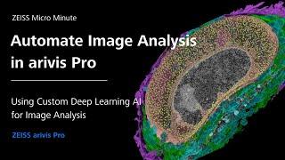 Automate Image Analysis using Pre-Trained Deep Learning AI | arivis Pro| ZMCC Live Demo | Episode 20