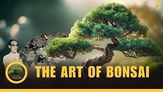 The Fascinating History And Art Of Bonsai