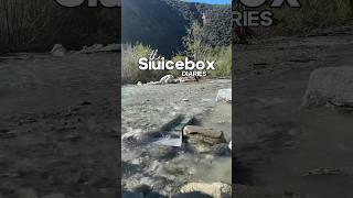 @chrisundertaking River sluice water ASMR #sluicebox #goldrush #asmrsounds #trending