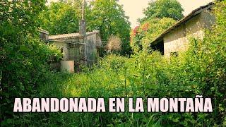 Encontré la CASA ABANDONADA IDEAL para VIVIR en el MONTE GALLEGO.