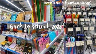 BACK TO SCHOOL 2023 канцелярия в читай городе // эстетичная канцелярия