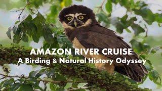 Amazon River Cruise: A Birding & Natural History Odyssey