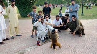 Sidhu monkey owner interview | fun duniya| bandar tamasha| monkey lovers 