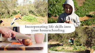 Why you should incorporate life skills into your homeschool planning/An introduction to life skills