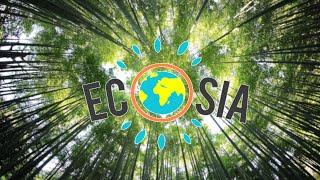 ECOSIA - Infos und meine Erfahrung nach einem halben Jahr Nutzung