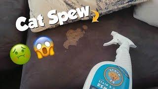 Cleaning Cat spew on microfiber couch and white pillow | STAIN FU