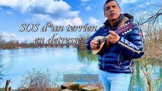 SOS d"un terrien en detresse - Mandolin cover