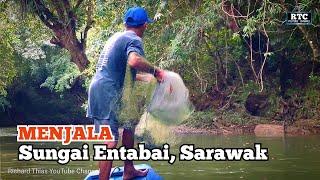 NYALA IKAN AI ENTABAI [] Menjala Ikan Sungai Entabai, Sarawak