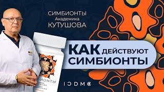 Как действуют Симбионты Кутушова ICDMC