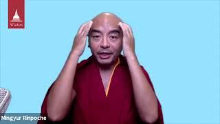 What was discovered in the Science Lab with Mingyur Rinpoche?