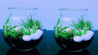 SIMPLE TERRARIUM #terrarium #howtomaketerrarium #simplecrafts How To Make Terrarium