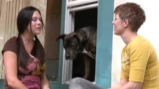 Dogmantics Dog Training TV Episode 2: Pitbulls