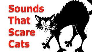 Make your Cat or Dog Go Crazy,   ~ Sounds Cats Hate All Time
