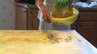 Traditional Gottscheer Apple Strudel Recipe