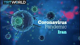 Coronavirus pandemic in Iran - Focal Point