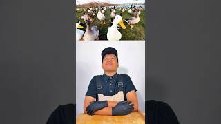 Duck Stew  ! #asmr #cooking #food #recipe #duckstew #stew