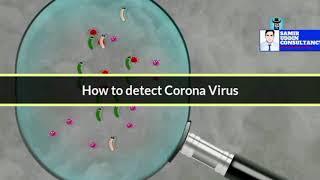 Important facts related to corona virus|Prevention, Diagnosis and Treatment Explained Coronavirus |