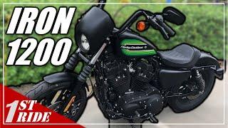 2021 Sportster Iron 1200 Review and Test Ride! (The Last Evo Iron? )