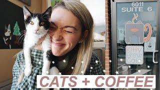 WE WENT TO A CAT CAFE! | Cats + Coffee *SO MUCH CUTENESS*