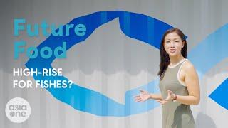 A fish farm in the heartlands | Future Food