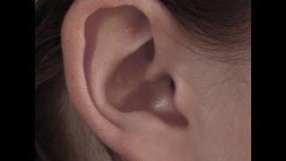 Tinnitus-Experte Dr. Greuel: Ursache und Heilung in Bildern