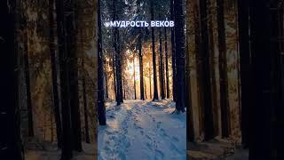 Мудрость веков#вдохновение #психология#жизнь #цитаты#рекомендации#шортс##motivation#shorts#мудрость