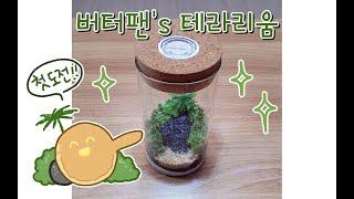 테라리움 일기 - 첫 도전이에요! (*≧▽≦)// #버터팬 #테라리움 #첫도전 #terrarium