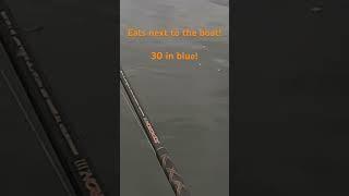 BEST TRIP! #youtube #fishing #works #youtubeshorts #nature #viralshort #viralvideo #vlog #videos #fy