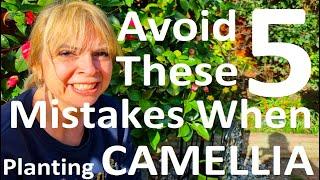 Avoid these 5 Mistakes When Growing and Planting Camellias
