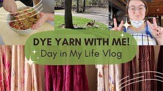 DYEING YARN Orders | Daily Vlog | Trying a New Recipe | Knitting Podcast