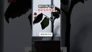 절대 베란다에 두지 말아야 할 최악의 물건 3가지!