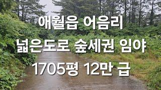 제주시 애월읍 어음리 넓은도로 숲세권 임야 1705평 12만 급 010 4436 0401 제주도부동산 토지 매매  급매물