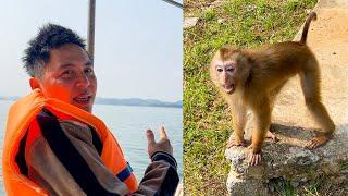 Monkey Kaka suddenly appeared when saw her dad coming to visit