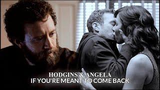 Hodgins & Angela || If You're Meant to Come Back.