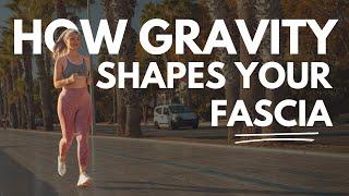 Gravity’s Pull: The Hidden Effects on Your Fascia