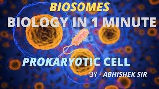 Biology in 1 Minute || PROKARYOTIC CELL || Cell Structure || Cell Organelles #Youtubevideo #Biosomes