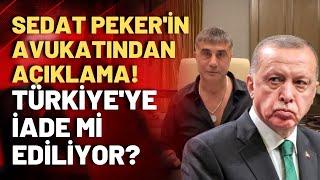 13 maddelik anlaşma tek tek belli oldu: İşte Erdoğan'la BAE arasındaki Sedat Peker maddesi!