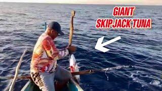 GIANT SKIPJACK TUNA!! DUMAWI SA PAHILA HILA | CATCH&SELL