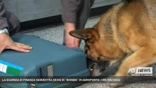 LA GUARDIA DI FINANZA SEQUESTRA 55 KG DI “BIONDE” IN AEROPORTO  | 06/05/2022