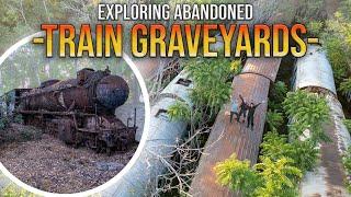 Lost Locomotives and Cars: Exploring Abandoned Train Graveyards